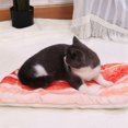 thumbnail image 3 of Pet Bed For Dogs Pets Cat Mat For Dogs Blanket Kennel Teddy Four Seasons Durable Soft Toast Bread And Poached Eggs Pizza Mat Bacon Mat M, 3 of 6