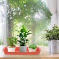 thumbnail image 2 of Miangastore 2Pcs Rectangular Plant Saucers Plastic Plant Saucers Planter Drip Tray Flower Pot Saucers, 2 of 9