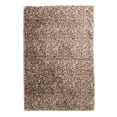 thumbnail image 3 of Better Homes & Gardens Leopard Faux Fur Oversized Throw, 50" x 72", 3 of 5