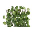 thumbnail image 1 of Outdo Expandable Trellis Artificial Leaves Fence Privacy Screening Leaves, 1 of 8