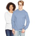 thumbnail image 1 of Hanes T-Shirt à Manches Longues Col Rond pour Hommes, 1 of 6