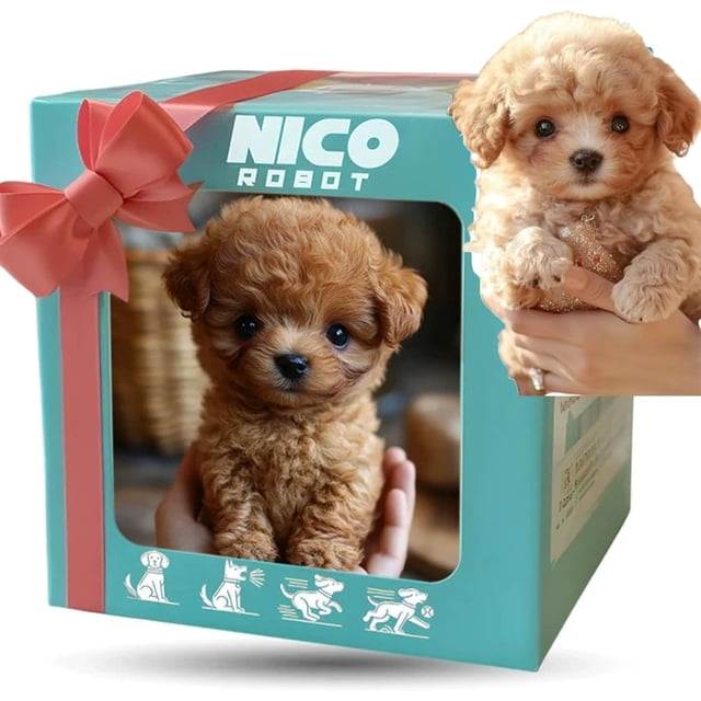 Chien Robot Intelligent - Chiot Robot, Nico Mon Chiot Robotique Réaliste, un Jouet en Peluche Électronique Interactif Ressemblant à un Chiot Réaliste. l'Image Montre un Chien Robot compact Brun à Poil Bouclé Exposé dans une Boîte Turquoise avec un Nœud Rose, Étiqueté « Nico Robot ». le Jouet Est Conçu pour Imiter les Comportements Réels du Chien comme Marcher, Aboyer et Remuer la Queue. Fabriqué à Partir d'Une Peluche Douce à Haute Densité, Il Est portable et Convient pour Offrir Lors d'Occasion comme les Anniversaires Ou Noël