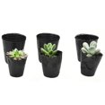 thumbnail image 4 of 50/100pcs Plastic Seedlings Starter Pot Plants Nursery Pots for Germination Seedling, 4 of 7