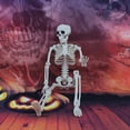 thumbnail image 1 of 5 Packs Halloween Skeleton Decoration  16‘‘ Halloween Decorations Full Body Posable Skeletons Props with Movable Joints, 1 of 2