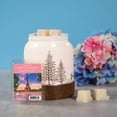 thumbnail image 4 of ScentSationals, Cubes de cire parfumés, S'il te plaît, 4 of 4