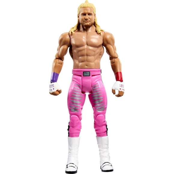 WWE Dolph Ziggler Action Figure