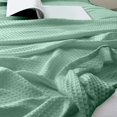 thumbnail image 5 of TopLLC Blanket,Throw Blanket,Fall Blanket Fiber Blanket Thickened Solid Color Sofa Blanket Conditioning Blanket Nap Blanket 43.3 X 51.18 Inches Blanket Blanket, 5 of 5