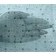 thumbnail image 4 of oneOone Viscose Chiffon Fabric Star & Faces Animal Decor Fabric Printed BTY 42 Inch Wide, 4 of 4