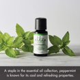 thumbnail image 3 of Peppermint Essential Oil, 3 of 9
