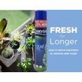 thumbnail image 4 of Chrysal Leafshine Large Can 750 ml Bonus Size, 4 of 7