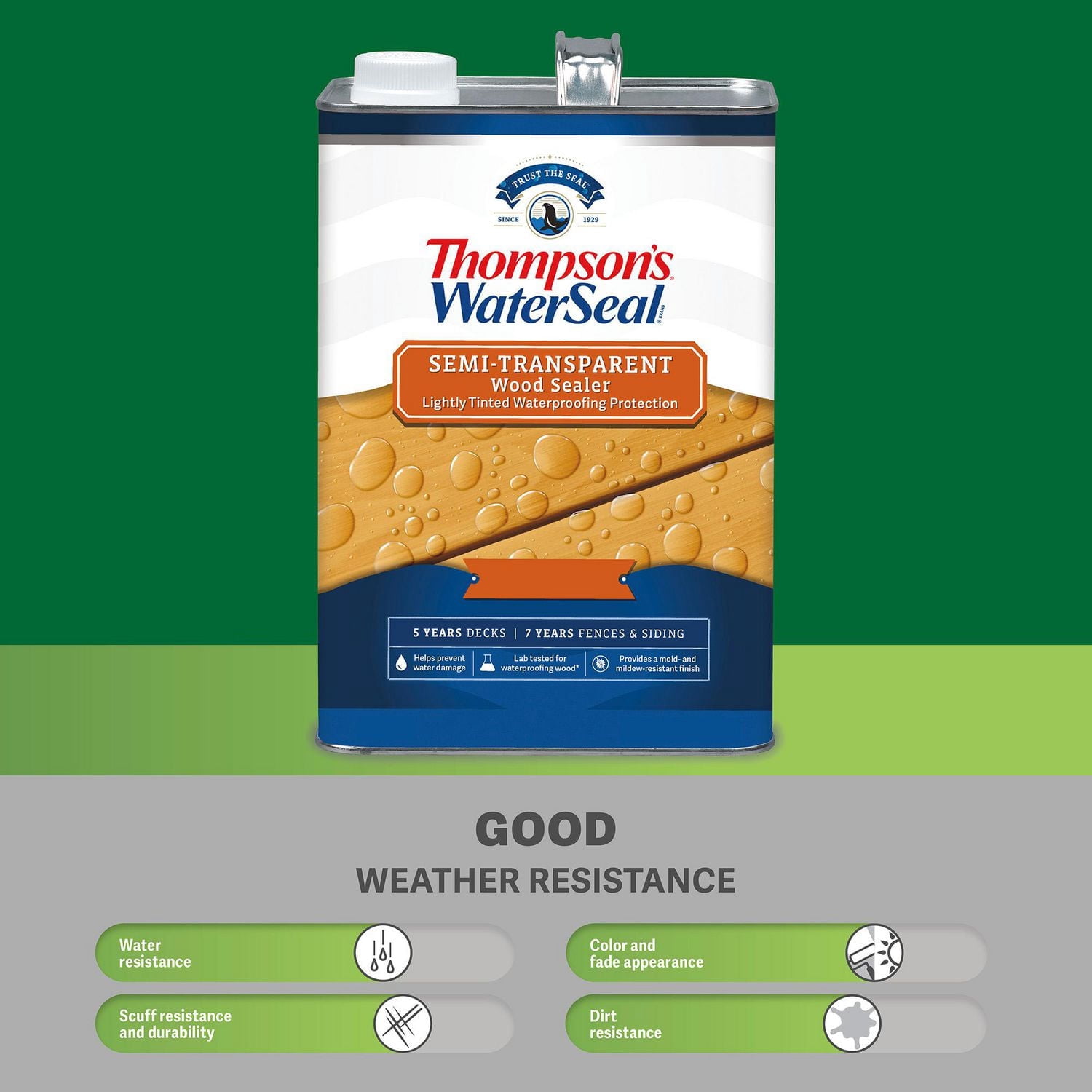 Thompson's WaterSeal Semi-Transparent Wood Sealer, Desert Tan, 3.78 L
