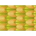 thumbnail image 1 of Ahgly Company Tapis Rectangulaire Lavable en Machine Intérieur Transitionnel Jaune, 4 Pieds x 6 Pieds, 1 of 7