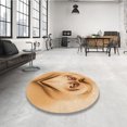 thumbnail image 4 of Ahgly Company Tapis d'Intérieur Lavable à la Machine, Carré, Transitionnel, Orange, Tapis de Zone, 5 Pieds Carré, 4 of 7