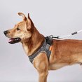 thumbnail image 2 of PETKIT Air Pro Harness, Medium, Light Foam, Shock Absorbent, Breathable, for Medium and Small Animals (Medium), 2 of 7