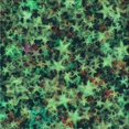 thumbnail image 1 of Ahgly Tapis d'Intérieur Lavable en Machine Carré Vert Forêt Foncé, 8 Pieds Carré, 1 of 7
