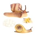 thumbnail image 1 of Cycle de Jouets de Modèle de Figure Animale pour les Enfants Qui Apprennent l'Enseignement, 1 of 7