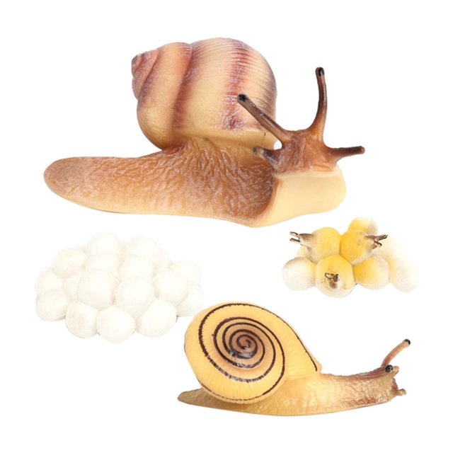 Cycle de Jouets de Modèle de Figure Animale pour les Enfants Qui Apprennent l'Enseignement