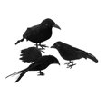 thumbnail image 3 of 3Pcs Halloween Crows Black Simulation Feather Crow Animal Model Halloween Crows Style B, 3 of 9