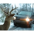 thumbnail image 3 of Avertisseur de cerf Bell, 3 of 3