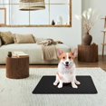 thumbnail image 1 of Clearance under $5 Tyidzon Puppy Pads Super Absorbent Pee Pads for Dogs Thicker,Leak-Proof Quick-Dry Design for Potty Training, Potty Pads for Dogs,Dog Pad,Pet Pee Pads, 1 of 4
