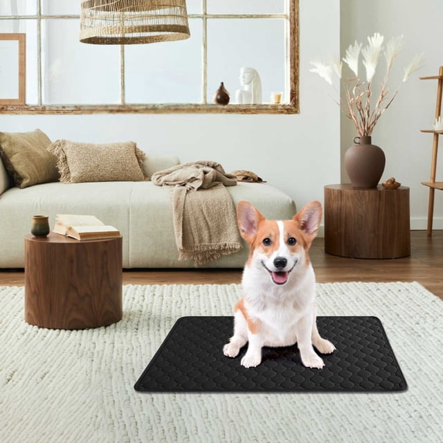 Clearance under $5 Tyidzon Puppy Pads Super Absorbent Pee Pads for Dogs Thicker,Leak-Proof Quick-Dry Design for Potty Training, Potty Pads for Dogs,Dog Pad,Pet Pee Pads