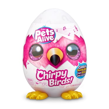 Pets Alive Bird