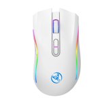 Souris de jeu sans fil, Souris sans fil Gaming 2.4Ghz Souris Sans fil Souris Rgb Backlight Wireless Optical Usb Souris 4800Dpi Souris de jeu sans fil rechargeable Mute
