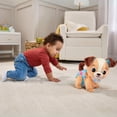 thumbnail image 3 of VTech Baby Suis-moi toutou 1 2 3 Jouet - Version française, 3 of 6
