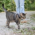thumbnail image 3 of Pet Attire Adjustable Cat Wrap Harness & 6' Leash Cat Combo, 3 of 11