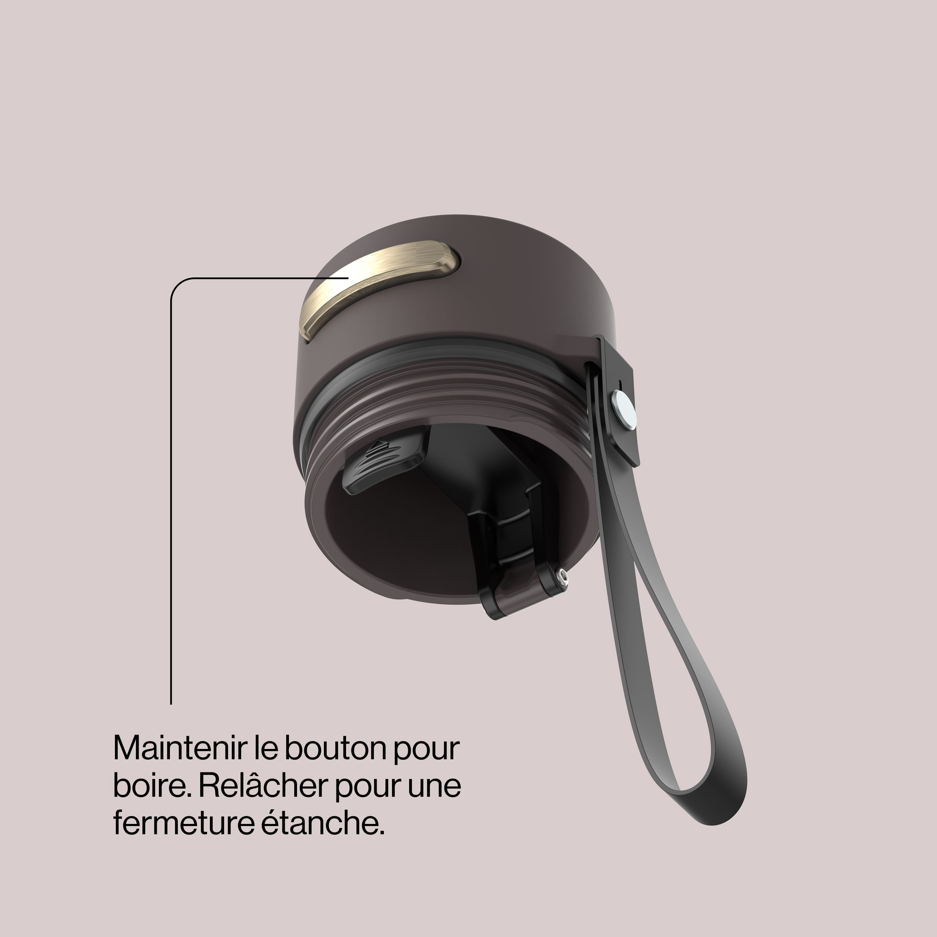 Bouteille d’eau isolée en acier inoxydable Contigo AutoSeal avec courroie de transport, 473 ml (16 oz) – antifuite, sans BPA, sans plomb, lavable au lave-vaisselle