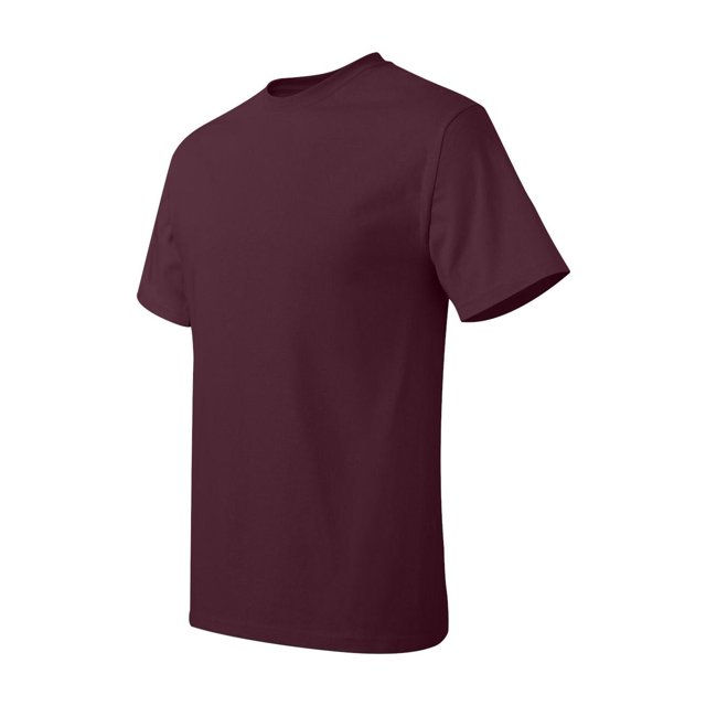 Hanes Men's Authentic-T T-Shirt - 5250T (Pack Of 3)