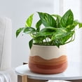 thumbnail image 2 of Mainstays 6" Red Omber Planter, 2 of 8