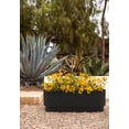 thumbnail image 3 of Veradek Demi Series Black Garden Bed 42" Self-Watering Planter (2 Pack), 3 of 10