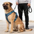 thumbnail image 1 of Wuztai No Pull Dog Harness, Reflective Pet Vest Harness with Handle, Adjustable Breathable Mesh Dog Harness for Walking Training Control, 1 of 6