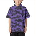 thumbnail image 1 of Enfants Plage Loisirs Ample Confortable Tendance Commerce Extérieur Confortable Garçons Col Bouton Chemise Ouverte Chemise à Manches Courtes Grand Garçon Chemise à Manches Courtes Garçon Court Paquet Ensemble de Chemises Garçons Haut Thermique, 1 of 3