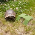 thumbnail image 2 of MOVTOTOP Tortue Grimpante Bascule Plateforme Tortue Flottante Terrasse, 2 of 6