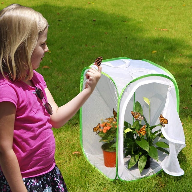 Papillon Pliable Habitat Alimentation Culture Terrarium en Maille Cage