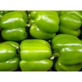 thumbnail image 1 of 200 Grosses Graines de Poivron Vert Doux Capsicum Annuum Légumes, 1 of 8