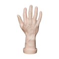 thumbnail image 1 of Bunblic Hand Model Jokes Toy Lifelike,Photo Props,Fake Hand Mannequin Hand for Cosplay Decoration Jewelry Display Party Nail Training skin, 1 of 8