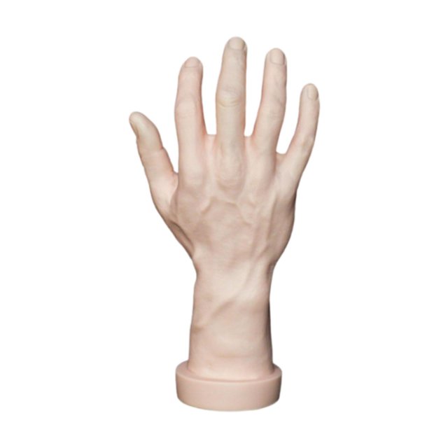 Bunblic Hand Model Jokes Toy Lifelike,Photo Props,Fake Hand Mannequin Hand for Cosplay Decoration Jewelry Display Party Nail Training skin