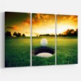 thumbnail image 2 of Golf Ball Near Hole, 2 of 2
