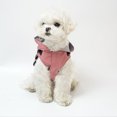 thumbnail image 4 of Xingzhi Polyester Easy To Clean And Maintain Lightweight And Breathable Dog Raincoat Is All Weather Stylish grey S, 4 of 6