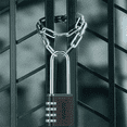 thumbnail image 4 of Lot de 4 Cadenas Combinés d'Extérieur à Longue Manille, Manille 6,5 cm, Étanche, Cadenas Combiné Réinitialisable à 4 Chiffres, 4 of 6