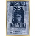 thumbnail image 1 of The Wizarding World: Harry Potter - Undesirable Wall Poster, 22.375" x 34", 1 of 4