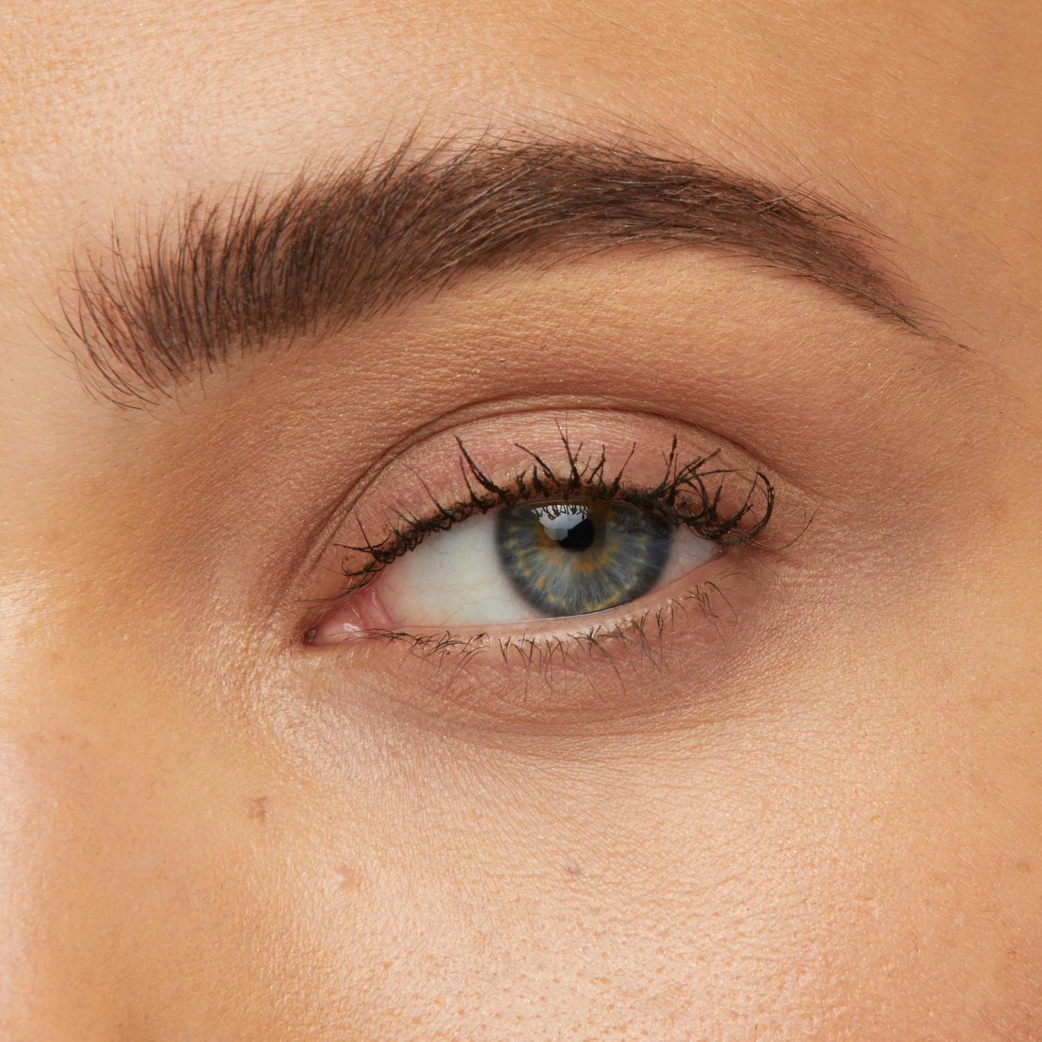 Maybelline Gel Tattoo Brow 3 Jours, hydrofuge, couleur ultrapigmentée