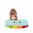 thumbnail image 1 of Squishmallows Dog Bed - Cat Bed - Jerrika the Octopus (Multiple Sizes), 1 of 5