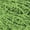 Citron vert, variante sur Red Heart® Fil Scrubby™, Polyester #4 Moyen, 3,5oz/100g, 92 Yards