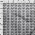 thumbnail image 2 of oneOone Cotton Poplin Fabric Dot & Floral Block Printed Craft Fabric BTY 42 Inch Wide, 2 of 4
