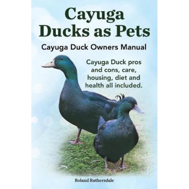 Canards Cayuga comme Animaux de Compagnie. Manuel du Propriétaire de Canards Cayuga. Avantages et Inconvénients du Canard Cayuga, Soins, Logement, Régime et Santé Tout Inclus.