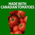 thumbnail image 2 of Ketchup Aux Cornichons, Bouteille, 2 of 16